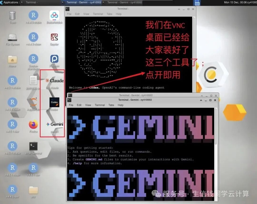 VNC 桌面上的 Codex 入口