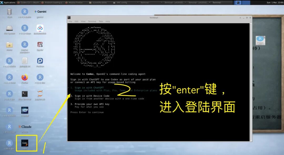 在 Codex 终端按 Enter 进入登录