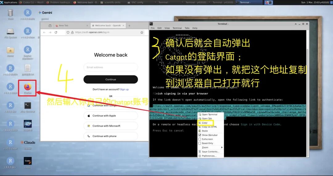 在浏览器中完成 ChatGPT 登录