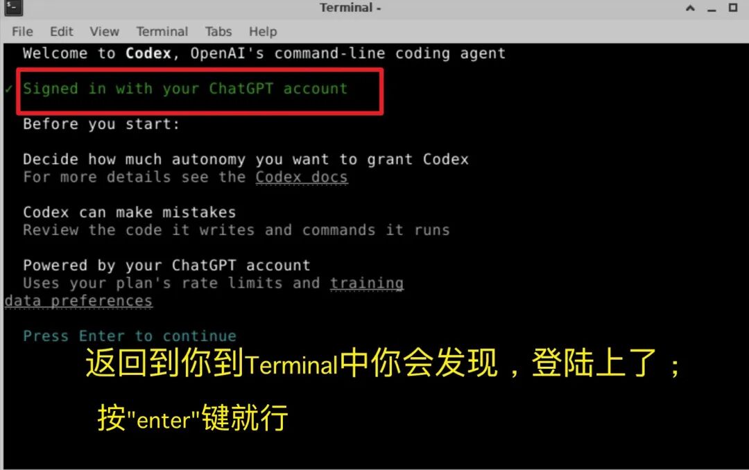 终端显示 ChatGPT 账号登录成功