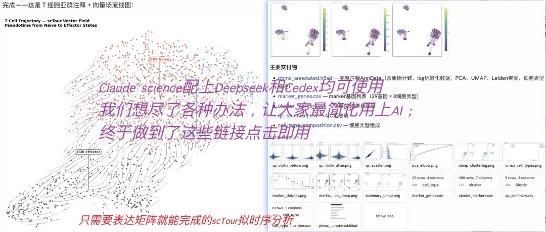 点开即分析的使用方式