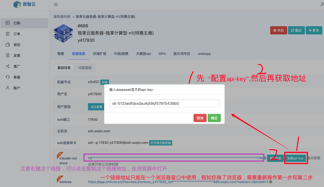 输入 DeepSeek API 并重新获取链接