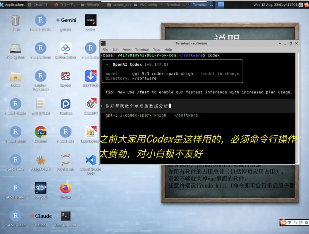 之前使用命令行 Codex 的界面