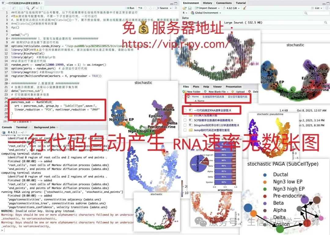 公共文件夹中的测试代码