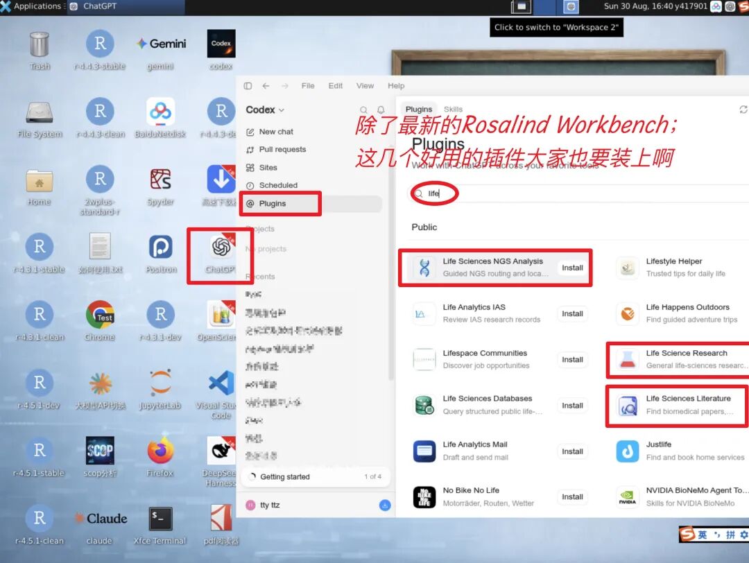 原文图片 3