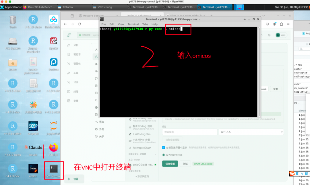 在 VNC 桌面中开始授权登录